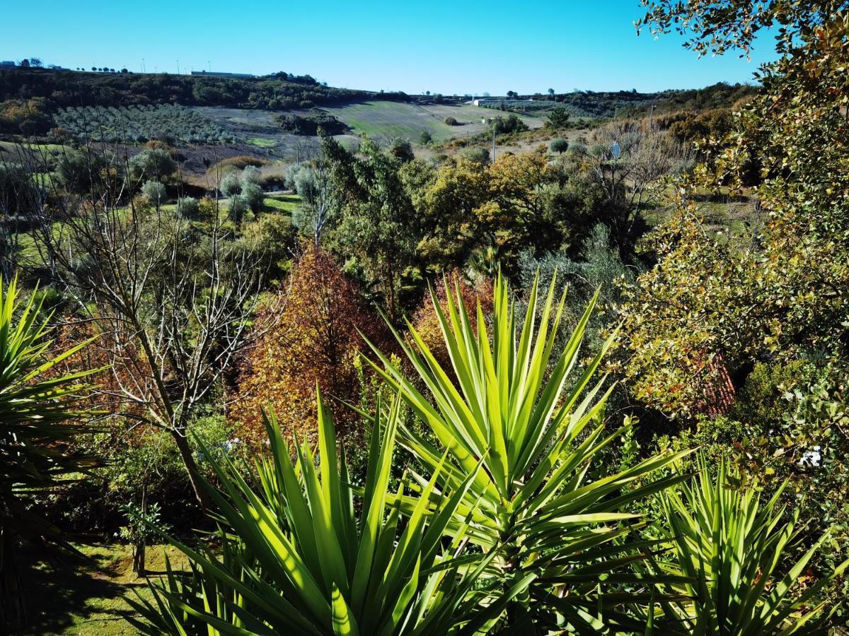 Quinta Do Vale Encantado "The Valley" - Santarem - Portugal Calhariz Exteriör bild